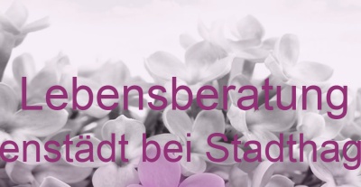 Lebensberatung Nienstädt bei Stadthagen | Top-Experten für Kartenlegen, Wahrsagen, Hellsehen, Zukunftsdeutung. Lebensberatung Nienstädt bei Stadthagen | Top-Experten für Kartenlegen, Wahrsagen, Hellsehen, Zukunftsdeutung.